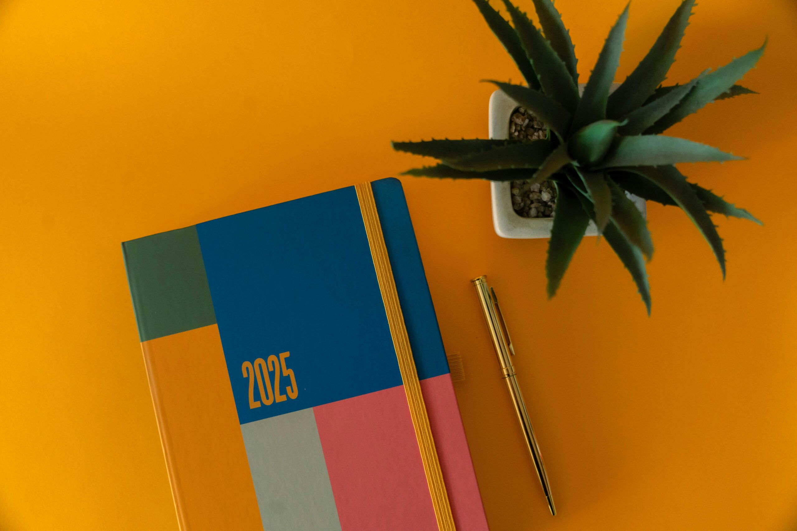 2025 Diary