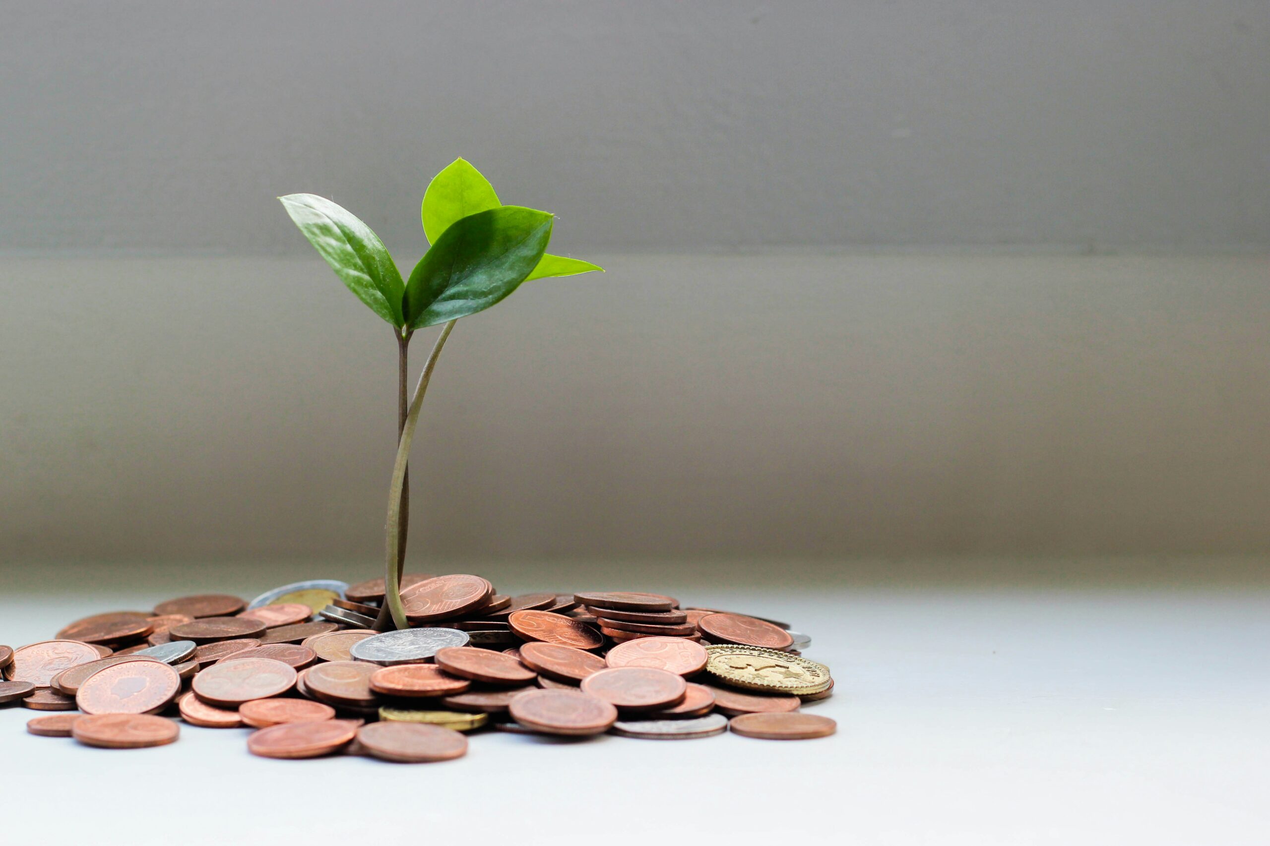 Business growth