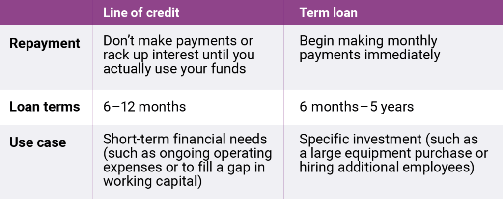 business line of credit vs term loan