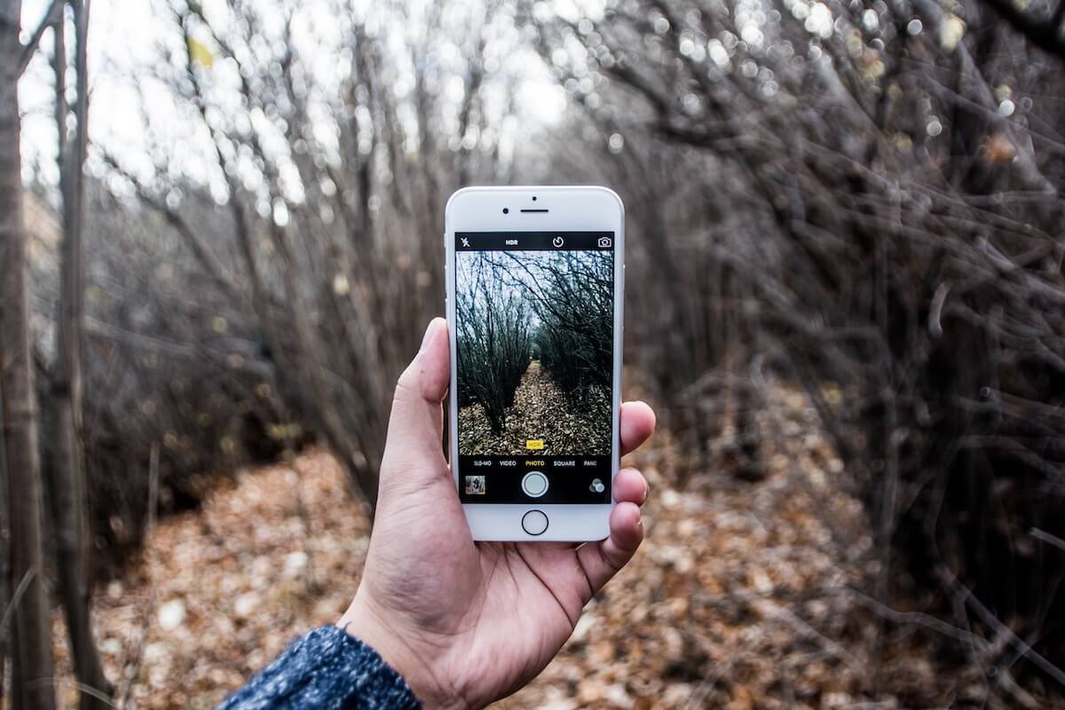 A man taking a picture of the woods - Get Inspired by These 9 Creative Brands on Instagram