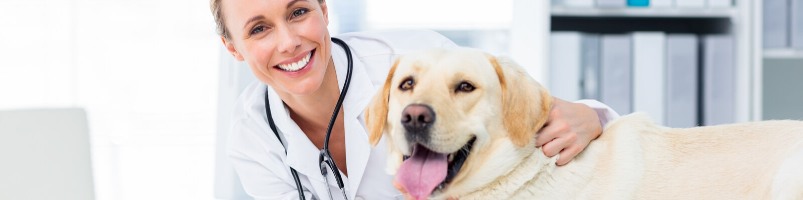 veterinary practice financing - feature image