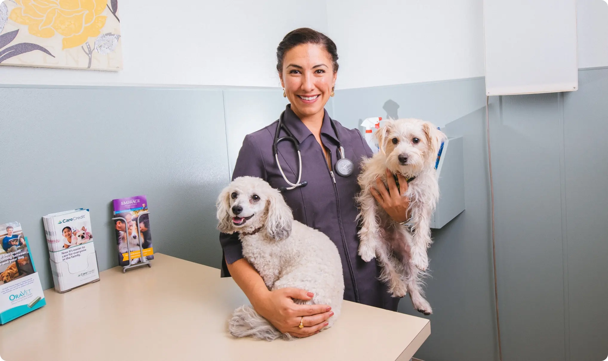 Celina Hatt, Pawsh Place Veterinary Center